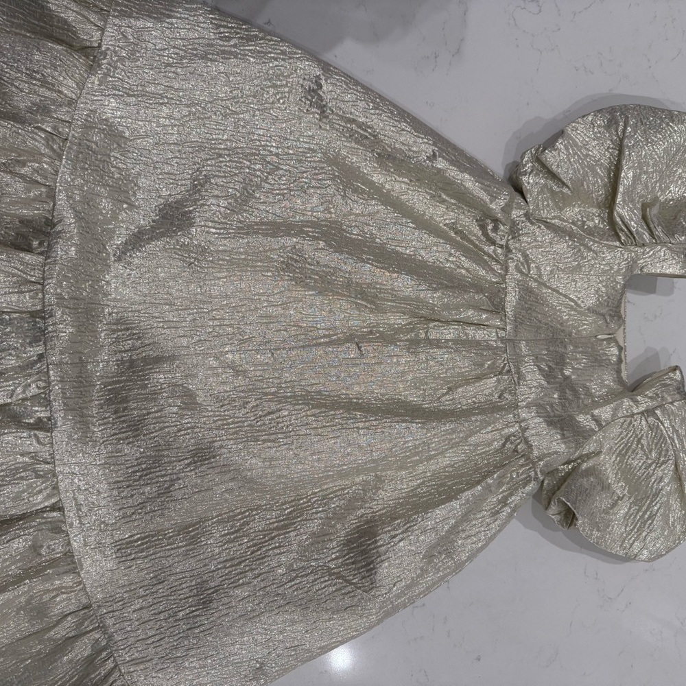 NORALEE Shimmering champagne Dress with Puff Sleeves
